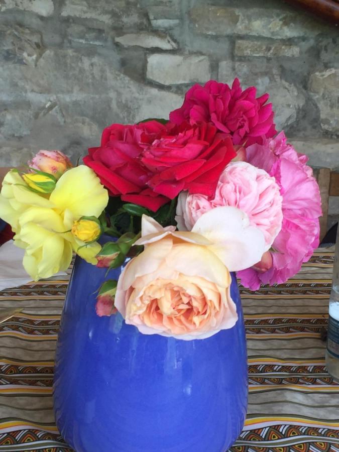 Nido D'Amore Nei Colori Dernice 外观 照片