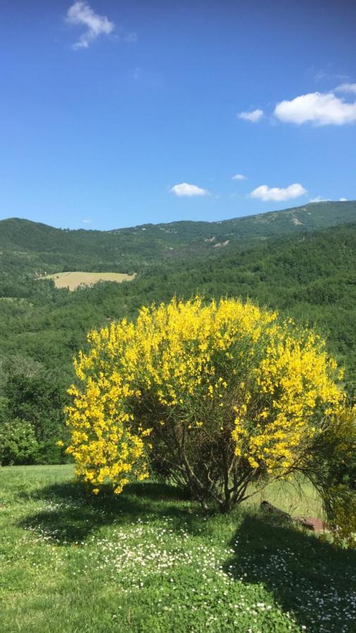Nido D'Amore Nei Colori Dernice 外观 照片